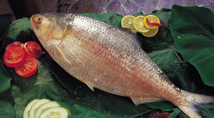 আসল ইলিশ চেনার উপায়